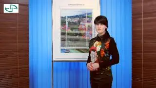 Жалюзи на пластиковые окна Изотра ХИТ-2