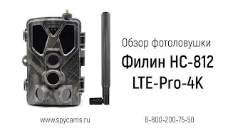Обзор уличной охранной 4К фотоловушки Suntek Филин HC-812 LTE-Pro-4K