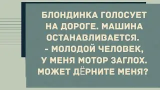 Блондинка голосует на дороге. Сборник Свежих Анекдотов! Юмор!