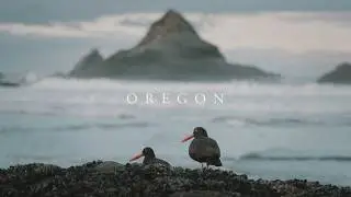 A Day of Photography on the Oregon Coast