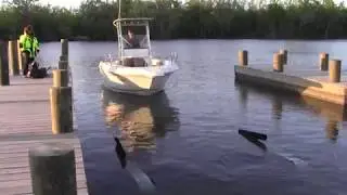 Drive boat onto trailer, CAUTION