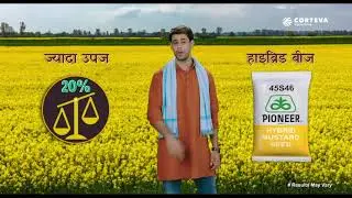 कोर्टेवा पायोनियर हाइब्रिड सरसो बीज दे ज्यादा मुनाफ़ा #Pioneermustard #Hybridmustard #mustardfarming