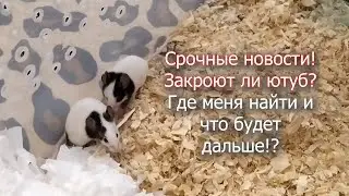 СРОЧНЫЕ НОВОСТИ! где меня найти