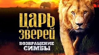 Царь зверей. Возвращение Симбы. Текст читает Николай Дроздов