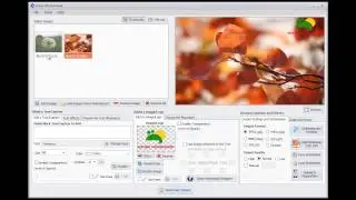 How to add a Logo to Multiple Photos Easily