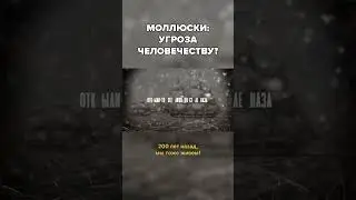 Что эти улитки себе позволяют?! 😱😀 #животные #улитка #слизни