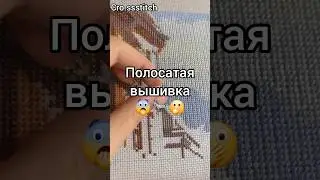 Полосатая вышивка😨🦓🫢 #вышивка #вышивкакрестиком #вышивкакрестом #творчество #рукоделие #хобби