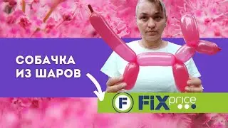 Как сделать собачку из длинного шарика-колбаски из Фикс Прайс