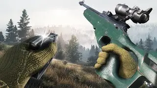 When Things Go Right In DayZ...