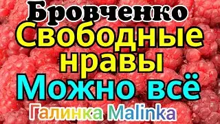 Семья Бровченко /Свободные нравы/Можно все /Обзор Влогов /