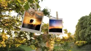 Девушка развешивает фотографии на ветках деревьев FullHD