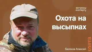 Охота на высыпках. Алексей Беляков об охоте на вальдшнепа.