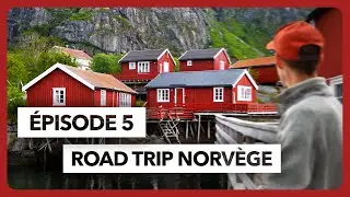 #5 Road Trip NORVÈGE 2024 : Déjà la fin ?