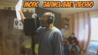 Мопс заехал на студию