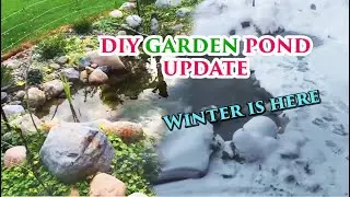 DIY Garden Pond Update | Water Temps and Winterizing | Part 6