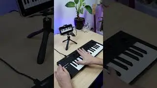 Edward Maya - Stereo Love (BandLab Cover) 