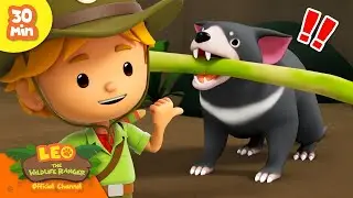 STRONGEST BITE EVER! 😬 | Scary Mammals | Leo the Wildlife Ranger | Kids Cartoons