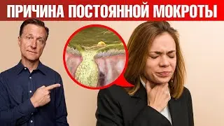 Настоящая причина хронической мокроты в горле. Дело в ГЭРБ🧐