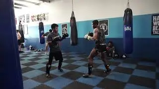 FLMT Muay Thai Light sparring