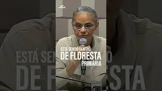 No Senado, Marina Silva alerta para aumento de incêndios em áreas com floresta #Shorts