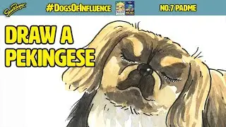 How to draw a Pekingese  - 
