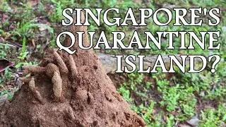 Singapore's “Quarantine Island” - St John's Island