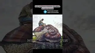 Загадочная сонная болезнь в Казахстане #шортс