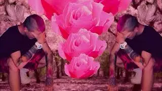 Lil Peep - canopy [STUDIO ACAPELLA]
