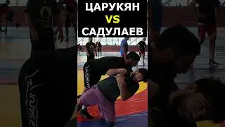 Царукян VS Садулаев: КРАСИВЫЙ БРОСОК #shorts