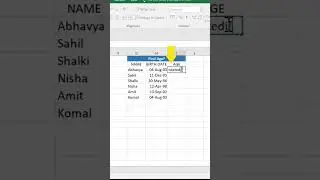 How to use Dated If and Today Function to find age in Excel | 