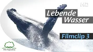 LEBENDE WASSER - Filmclip 3 - 