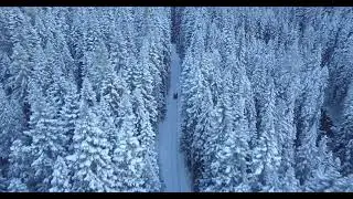 очень  красивый природа музыка #short