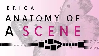 Anatomy of a Scene | ERICA