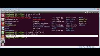 Hello World bash script in Linux