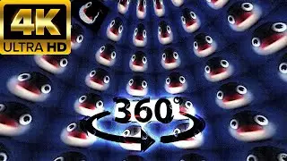 Noot noot OVER 1 MILLION TIMES VR 360° 4k