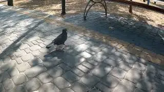 Аслан -Кермен.  (укороченная версия)