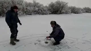 ИШИМ с. САМАРКА щука на ЖЕРЛИЦЫ 