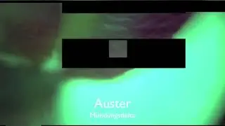 Auster  - Mündungsdelta (Tour De Traum XX)
