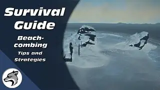Definitive Beachcombing Guide | How To Survive The Long Dark