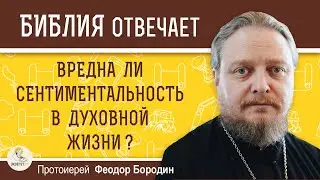 ВРЕДНА ЛИ СЕНТИМЕНТАЛЬНОСТЬ В ДУХОВНОЙ ЖИЗНИ ?  Протоиерей Федор Бородин