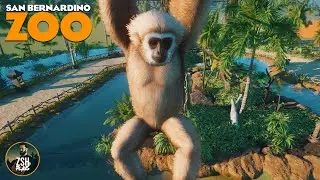 An Island Home for Gibbons in Franchise Mode! | San Bernardino Zoo | Planet Zoo