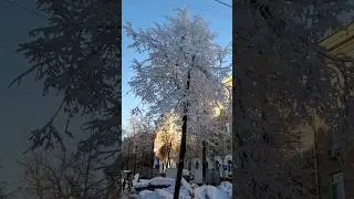 Русская зима в городе. Красота #дом #зима #русскаямузыка