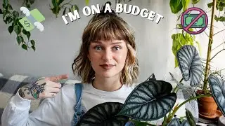 how I'm saving money in the houseplant hobby when everything is expensive af 💵 🪴