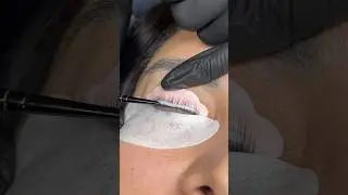 Lash lift 
