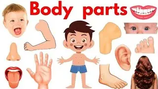 Body Parts Name | 20 Body parts name | Body parts |Body Name | Parts of Body Name | NTKidsZone