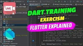 Dart Training: Excersim - Diamond - Part II