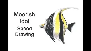 Moorish Idol Fish Time-lapse / Speed Drawing