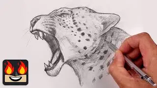 How To Draw a Leopard | Sketch Tutorial