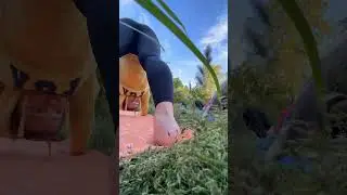 Йога в парках Москвы