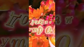 Доброе утро! Хорошего настроения! Для Вас, мои Друзья!